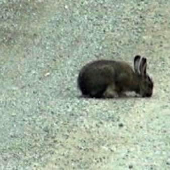 Screen Shot 2016-07-13 at 12.32.01 AM.jpg